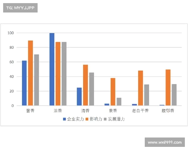 如何合理规划足球俱乐部转会预算提升球队竞争力与财务稳定性